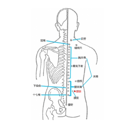 按摩腰眼穴可強(qiáng)腎，你知道它的準(zhǔn)確位置及其功效與作用有哪些嗎？