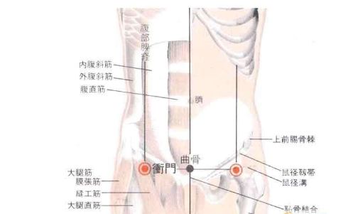 沖門穴的功效與作用