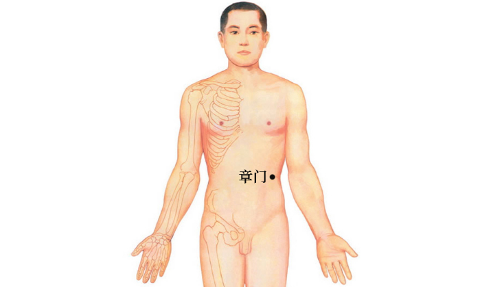 章門穴位置