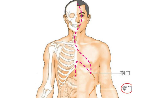 章門穴主治疾病
