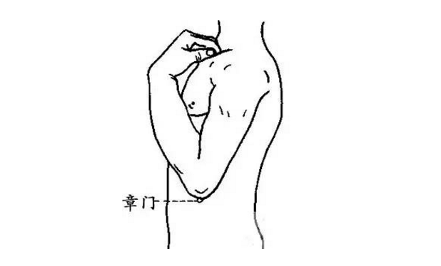 章門穴的功效與作用