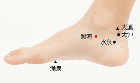 照海穴的功效與作用