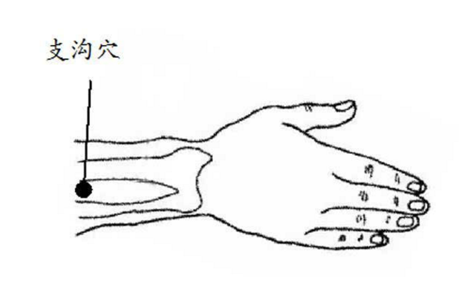 支溝穴圖片