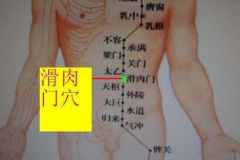 減肥穴——滑肉門(mén)穴的具體位置及其按摩方法！