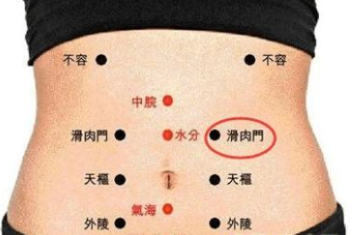 滑肉門穴的位置