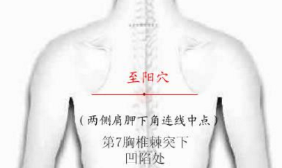 至陽(yáng)穴的圖片