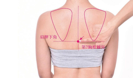 至陽(yáng)穴位置