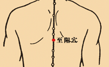 至陽(yáng)穴的功效與作用
