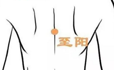至陽(yáng)穴主治疾病