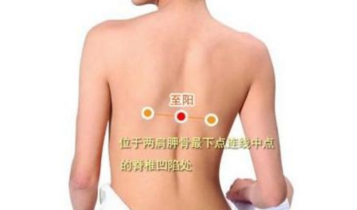 至陽(yáng)穴的按摩方法