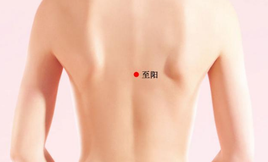 按摩至陽(yáng)穴的好處