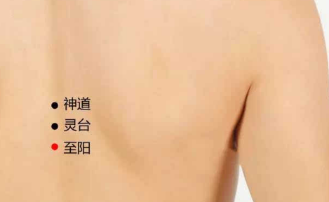 至陽(yáng)穴穴位配伍