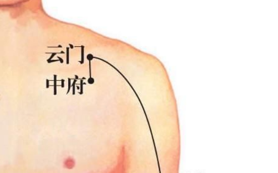 中府穴的功效與作用