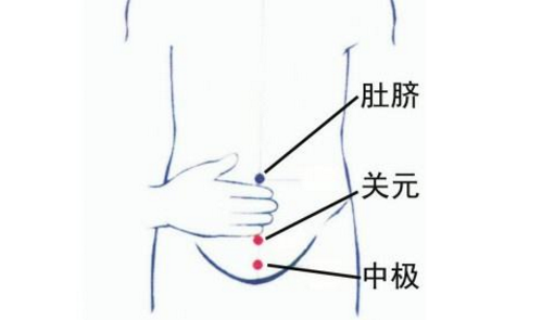 中極穴圖片