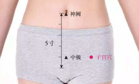 中極穴位置