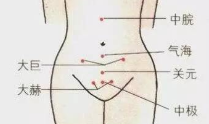 中極穴的功效與作用