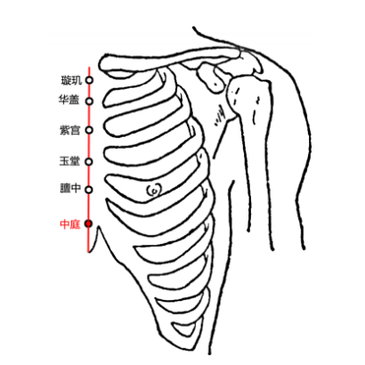 中庭穴疼痛怎么回事？中庭穴的準確位置及其功效與作用！
