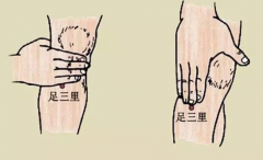 常按摩足三里穴能減肥嗎？5款中醫(yī)減肥藥膳
