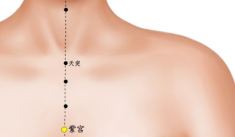 紫宮穴穴位配伍