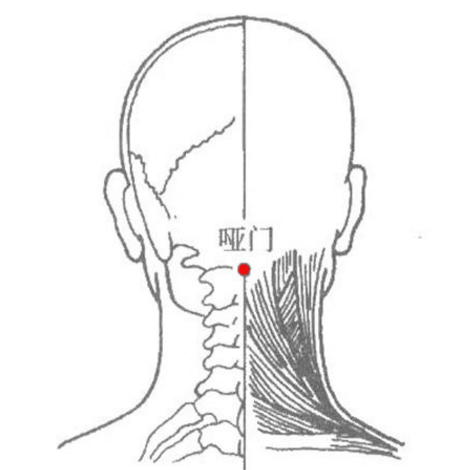 啞門穴的準確位置在哪？按摩啞門穴的功效與作用有哪些？