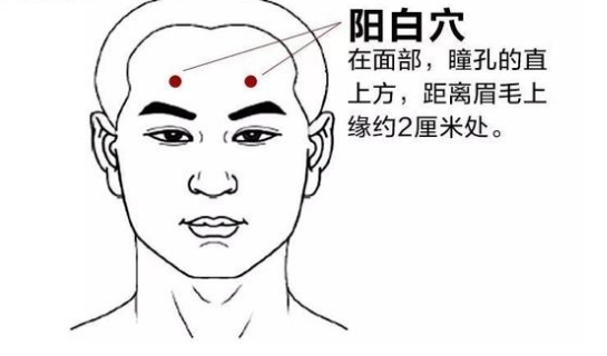 陽(yáng)白穴的功效與作用