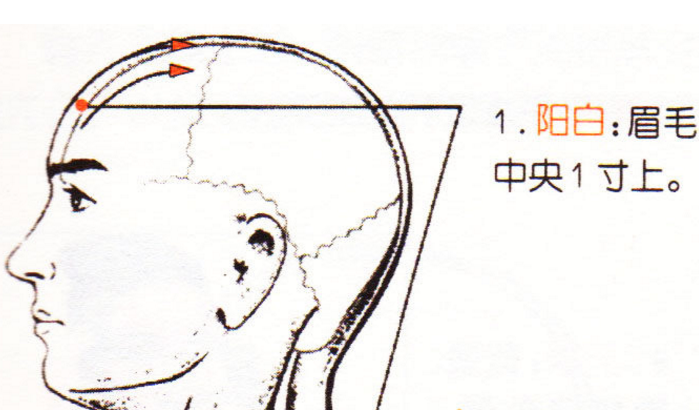 陽(yáng)白穴主治疾病