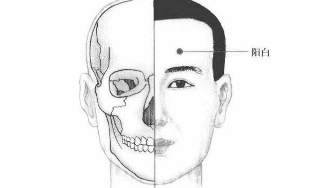 陽(yáng)白穴穴位配伍