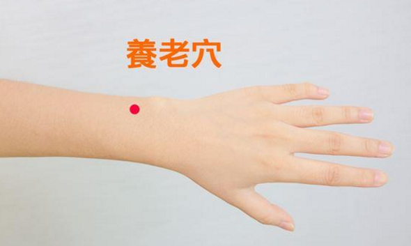 養(yǎng)老穴位置