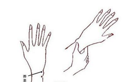 養(yǎng)老穴穴位配伍