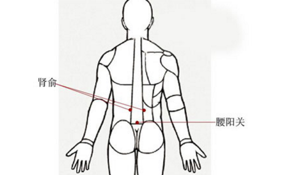 腰陽關穴位置