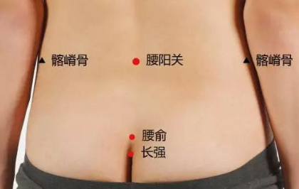 腰陽關穴穴位配伍