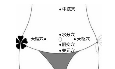 陰交穴穴位配伍