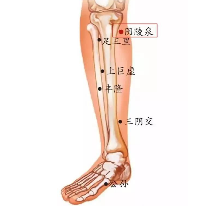 按摩陰陵泉穴有祛濕的功效，你知道它的準確位置在哪嗎？