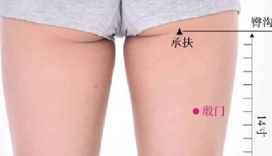 殷門穴穴位配伍