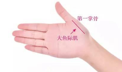 魚際穴穴位配伍