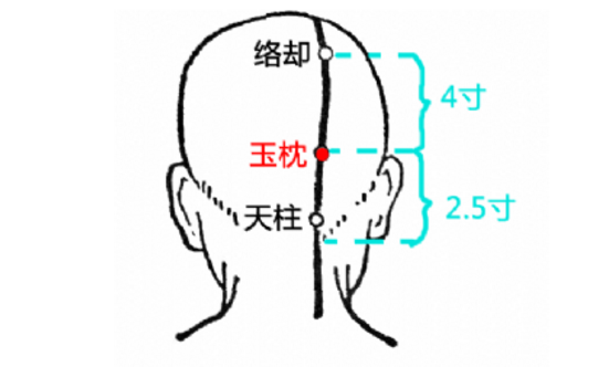 玉枕穴位置