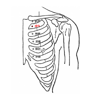 中醫(yī)探秘彧中穴的準確位置及其功效與作用！