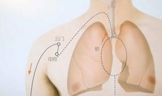 云門穴主治疾病