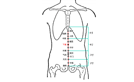 下脘穴圖片