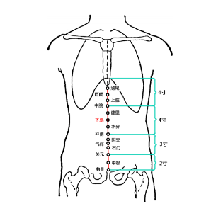 下脘穴的準(zhǔn)確位置在哪？中醫(yī)教你按摩下脘穴可健胃消食！