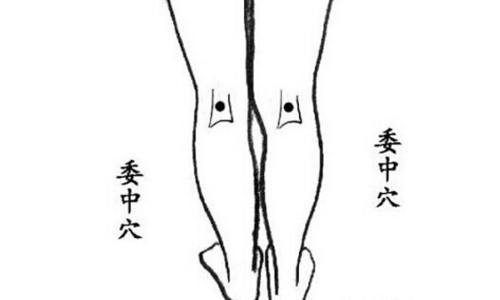 委中穴圖片