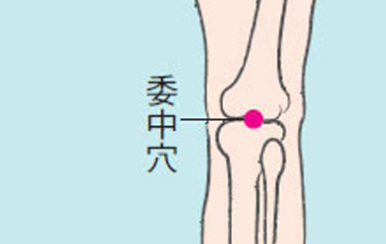 委中穴穴位配伍