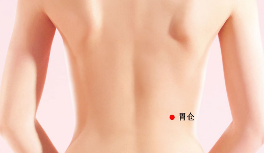 胃?jìng)}穴穴位配伍