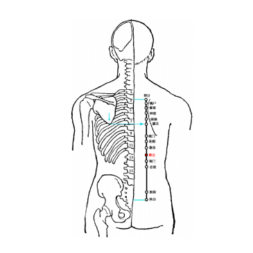按摩胃倉穴有養(yǎng)胃消食的功效，你知道它的準(zhǔn)確位置在哪嗎？