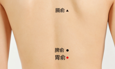 胃俞穴的功效與作用