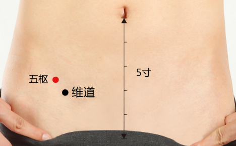 五樞穴的功效與作用