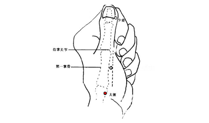 太淵穴的功效與作用