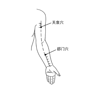 天泉穴疼痛怎么辦？中醫(yī)教你正確定位天泉穴的準(zhǔn)確位置！