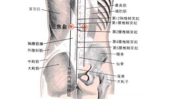 三焦俞穴的準(zhǔn)確位置