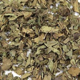 紫珠葉的正確區(qū)分方法及紫珠葉藥方應(yīng)用！